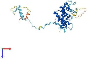 SIP1 Protein (AA 1-280) (His tag)