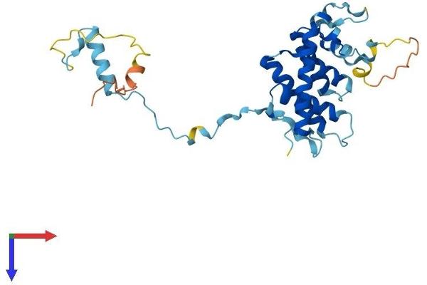 SIP1 Protein (AA 1-280) (His tag)