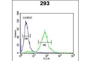 SETD8 Antibody (Center) (ABIN390472 and ABIN2840838) flow cytometric analysis of 293 cells (right histogram) compared to a negative control cell (left histogram). (SETD8 Antikörper  (AA 220-249))