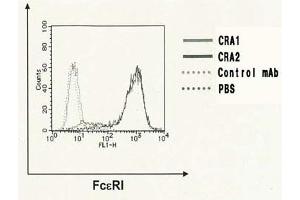 Flow Cytometry (FACS) image for anti-Fc Fragment of IgE Receptor Ia (FCER1A) (AA 1-84) antibody (FITC) (ABIN2451976) (Fc epsilon RI/FCER1A Antikörper  (AA 1-84) (FITC))