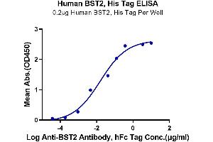 Immobilized Human BST2, His Tag at 2 μg/mL (100 μL/Well) on the plate. (BST2 Protein (AA 49-161) (His tag))