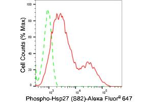 Flow cytometric analysis of phospho-Hsp27 (S82) expression in HepG2 cells using phospho-Hsp27 (S82) antibody (ABIN7798844), 1:2,000).