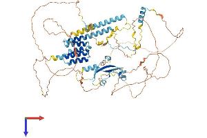 CKAP2 Protein (AA 1-683) (His tag)