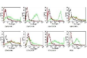 Specificity testing of MUS. (CEACAM5/6 Antikörper)