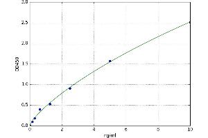 delta-Like 1 Homolog (Drosophila) (DLK1) ELISA Kit