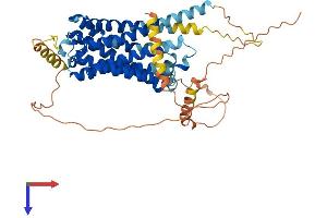 CNR1 Protein (AA 1-473) (His tag)