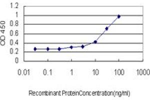 Detection limit for recombinant GST tagged PPFIA4 is approximately 1ng/ml as a capture antibody. (PPFIA4 Antikörper  (AA 604-699))