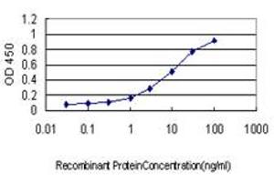 ELISA image for anti-Polymerase (DNA Directed) kappa (POLK) (AA 1-472) antibody (ABIN565606)