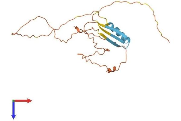 CTAG2 Protein (AA 1-210) (His tag)