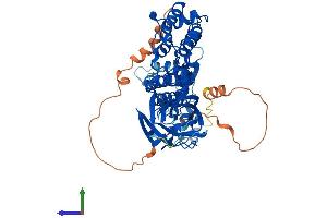 Protein Structure (PS) image for BTB (POZ) Domain Containing 3 (BTBD3) (AA 1-522) protein (His tag) (ABIN7552746)