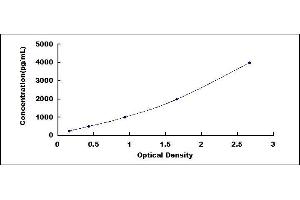 Laminin alpha 5 ELISA Kit