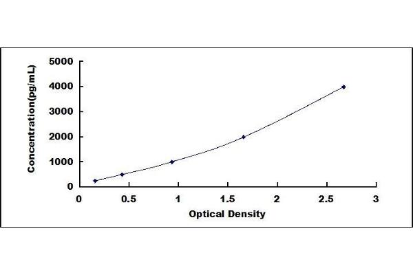 Laminin alpha 5 ELISA Kit