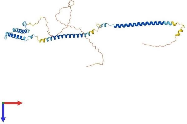 DSN1 Protein (AA 1-356) (His tag)