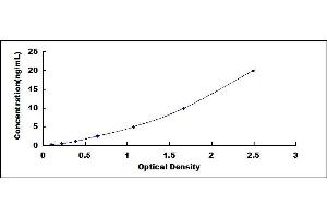 Typical standard curve (AMN ELISA Kit)