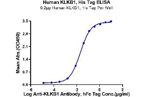 Immobilized Human KLKB1, His Tag at 2 μg/mL (100 μL/well) on the plate. (KLKB1 Protein (AA 20-638) (His tag))