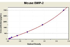 Diagramm of the ELISA kit to detect Mouse BMP-2with the optical density on the x-axis and the concentration on the y-axis. (BMP2 ELISA Kit)