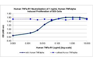 SDS-PAGE of Human Tumor Necrosis Factor Receptor Type 1 Recombinant Protein Bioactivity of Human Tumor Necrosis Factor Receptor Type 1 Recombinant Protein. (TNFRSF1A Protein)