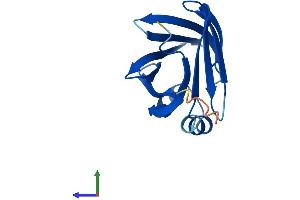 Protein Structure (PS) image for Fatty Acid Binding Protein 12 (FABP12) (AA 1-140) protein (His tag) (ABIN7547601)
