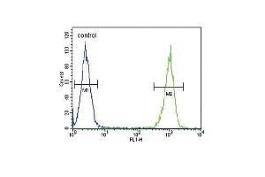 LTF Antibody (ABIN652643 and ABIN2842432) flow cytometric analysis of MDA-M cells (right histogram) compared to a negative control cell (left histogram). (Lactoferrin Antikörper)