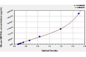 Typical Standard Curve (METRNL ELISA Kit)