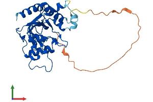Protein Structure (PS) image for Methylmalonic Aciduria (Cobalamin Deficiency) CblC Type, with Homocystinuria (MMACHC) (AA 1-282) protein (His tag) (ABIN7549399)