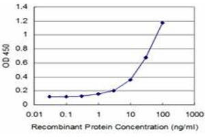 Detection limit for recombinant GST tagged MEOX2 is approximately 1ng/ml as a capture antibody. (MEOX2 Antikörper  (AA 1-303))