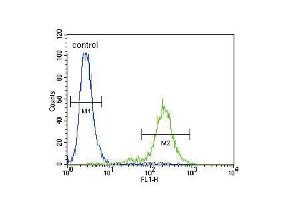 Flow cytometric analysis of NCI-H460 cells (right histogram) compared to a negative control cell (left histogram). (SLCO4C1 Antikörper  (C-Term))