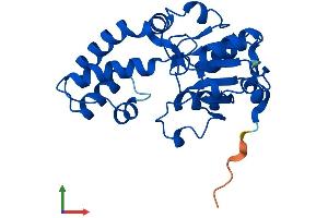 Protein Structure (PS) image for Haloacid Dehalogenase-Like Hydrolase Domain Containing 1 (HDHD1) (AA 1-234) protein (His tag) (ABIN7561022)