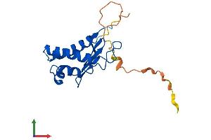 Protein Structure (PS) image for B-Cell Translocation Gene 1, Anti-Proliferative (BTG1) (AA 1-171) protein (His tag) (ABIN7556605)