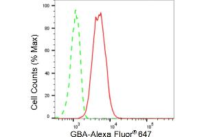 Flow cytometric analysis of GBA expression in C2C12 cells using GBA antibody (ABIN7798735), 1:2,000). (Rekombinanter GBA Antikörper)