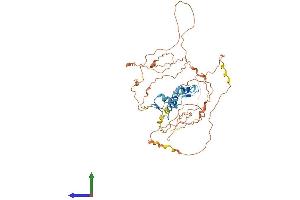 Protein Structure (PS) image for Early Growth Response 2 (EGR2) (AA 1-476) protein (His tag) (ABIN7547356)