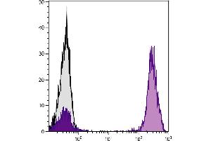 Flow Cytometry (FACS) image for Goat anti-Mouse IgG1 antibody (PE) - Preadsorbed (ABIN376451)