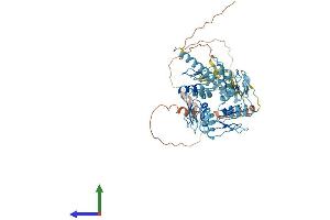 AlphaFold protein structure predicition of Human Recombinant ZNF431 Protein, UniprotID Q8TF32