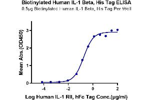 ELISA image for Interleukin 1, beta (IL1B) (AA 117-269) protein (His-Avi Tag,Biotin) (ABIN7274883)