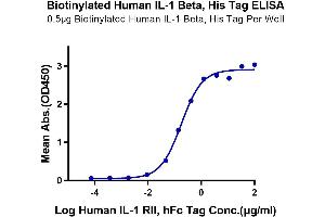 Immobilized Biotinylated Human IL-1 Beta, His Tag at 1 μg/mL (100 μL/Well) on the plate. (IL-1 beta Protein (AA 117-269) (His-Avi Tag,Biotin))