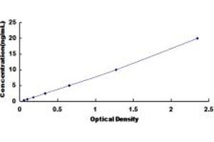 Typical standard curve (SLC7A1 ELISA Kit)