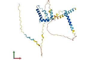 Protein Structure (PS) image for TIMELESS Interacting Protein (TIPIN) (AA 1-301) protein (His tag) (ABIN7544594)
