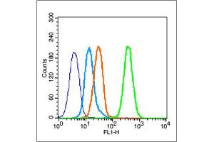 MCF-7 cells probed with Estrogen Receptor alpha Antibody, unconjugated  at 1:100 dilution for 30 minutes compared to control cells (blue) and isotype control (orange) (Estrogen Receptor alpha Antikörper  (AA 501-600))