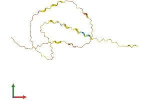 AlphaFold protein structure predicition of Human Recombinant C10orf55 Protein, UniprotID Q5SWW7