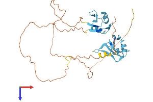HNRNPH3 Protein (AA 1-346) (His tag)