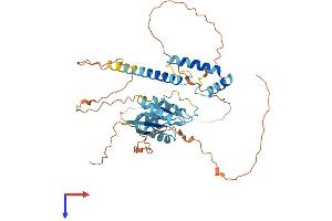 SOHLH2 Protein (AA 1-425) (His tag)
