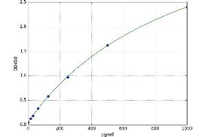 A Kinase (PRKA) Anchor Protein 12 (AKAP12) ELISA Kit