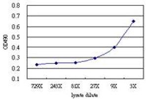 Sandwich ELISA detection sensitivity ranging from approximately 27x to 3x dilution of the ESD 293T overexpression lysate (non-denatured).