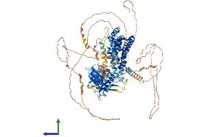 Protein Structure (PS) image for Ras and Rab Interactor 3 (RIN3) (AA 1-985) protein (His tag) (ABIN7555204)