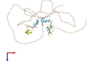 SP7 Protein (AA 1-431) (His tag)