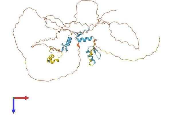SP7 Protein (AA 1-431) (His tag)