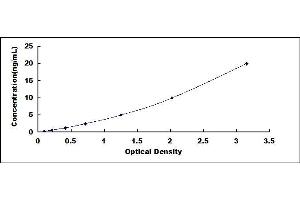 CDK8 ELISA Kit