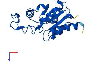 MDP1 Protein (AA 1-164) (His tag)