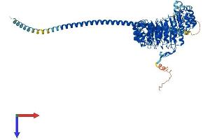 FBXL13 Protein (AA 1-735) (His tag)