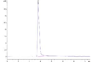 The purity of Human GPC3 (438-554) VLP is greater than 95 % as determined by SEC-HPLC. (Glypican 3 Protein-VLP (GPC3) (AA 438-554))